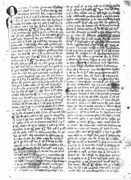 manuscrit-2.jpg